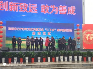 文藝服務(wù)暖人心——市文聯(lián)組織文藝家參與‘三下鄉(xiāng)’集中服務(wù)活動