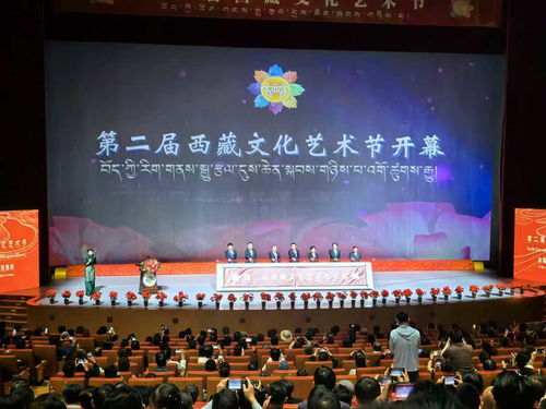 雪域高原綻放藝術(shù)之花 第二屆西藏文化藝術(shù)節(jié)盛大開幕